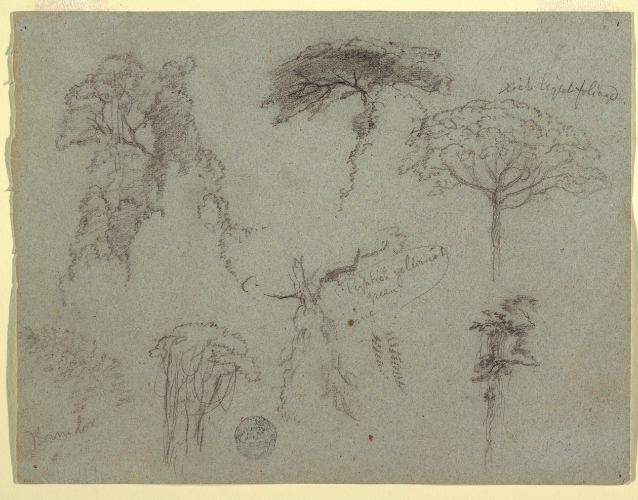 Disegno, Studi di alberi, Ecuador, 1853 da Frederic Edwin Church