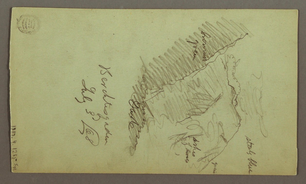 Disegno, Torri, tetti, Spicket, tetto, luglio 1868 da Frederic Edwin Church
