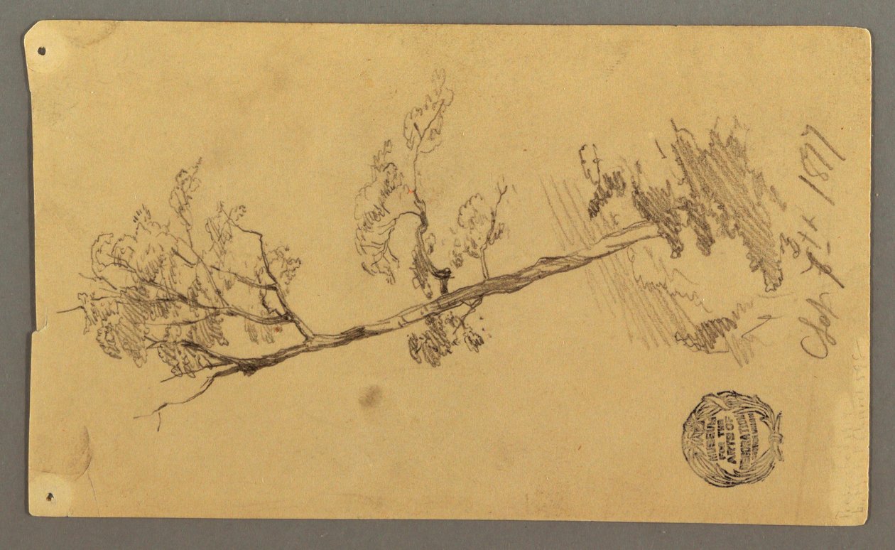 Disegno, albero, 1877 da Frederic Edwin Church