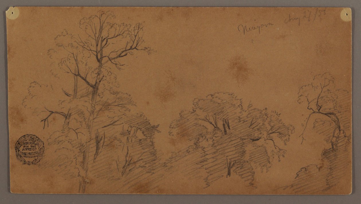 Disegno, cime degli alberi, Niagara, 27 agosto 1856 da Frederic Edwin Church
