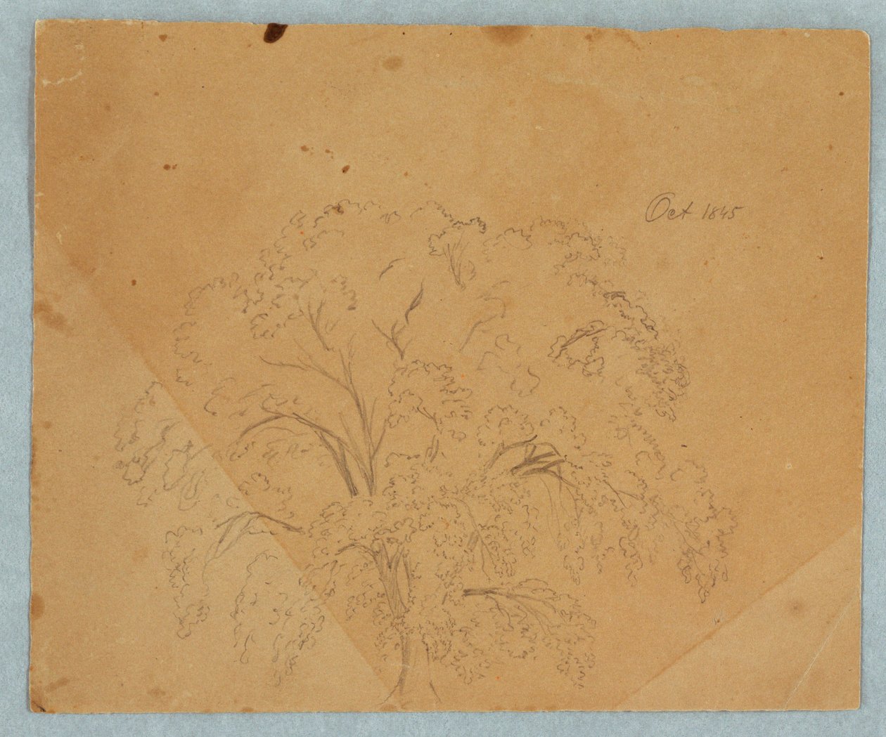 Disegno, Albero; verso: Veduta di una chiesa, due donne inglesi del 1636, studio di un cavallo, ottobre 1845 da Frederic Edwin Church
