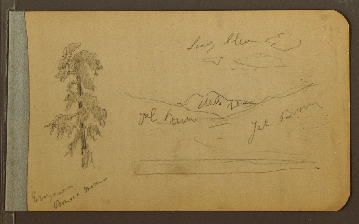 Disegno, Albero, montagne, 1889 da Frederic Edwin Church