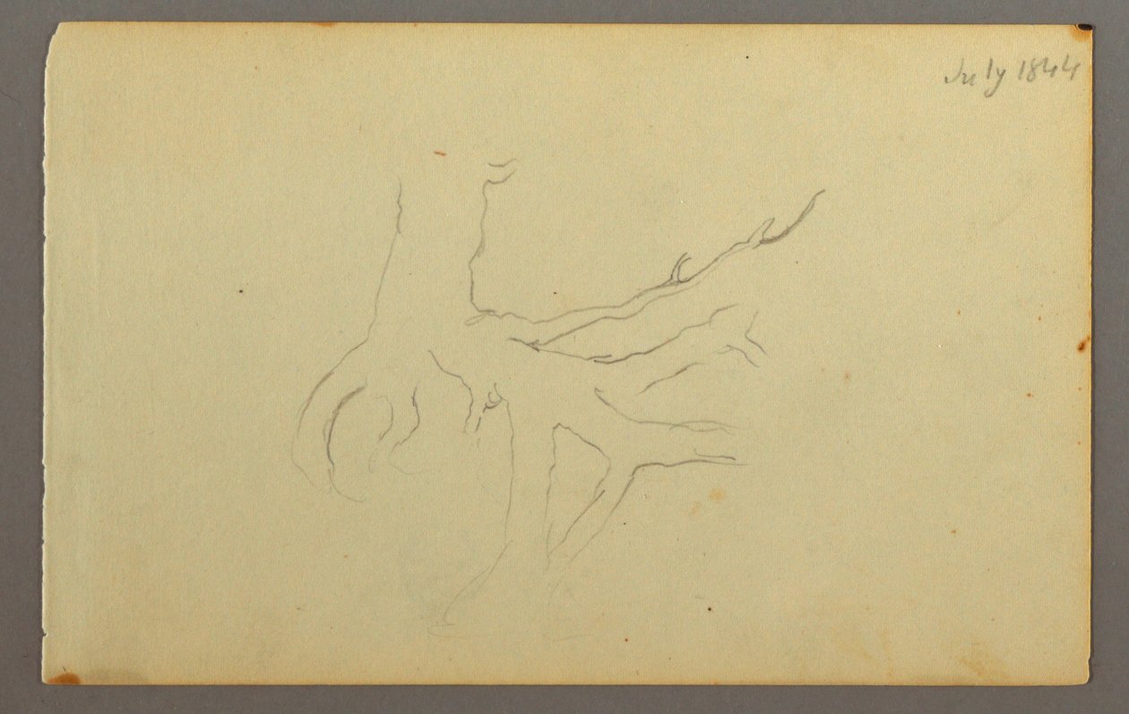 Disegno, radici di un albero, 1844 da Frederic Edwin Church