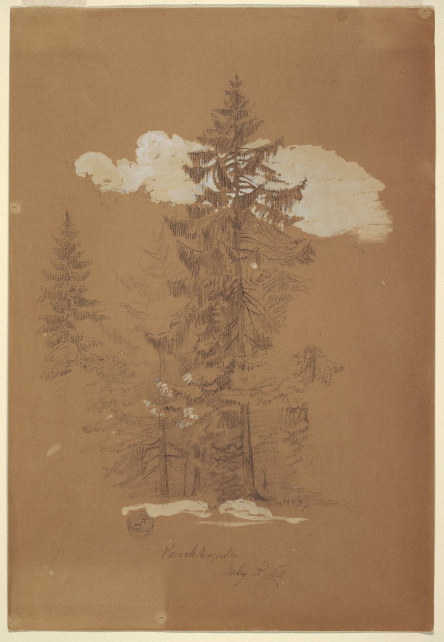 Disegno, Alberi, Berchtesgaden, Baviera, 3 luglio 1868 da Frederic Edwin Church