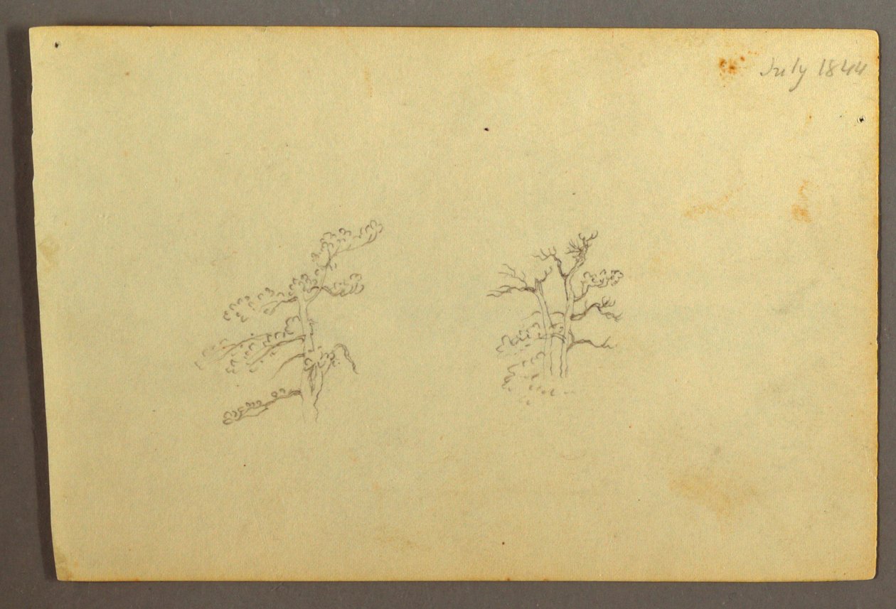 Disegno, Alberi, luglio 1844 da Frederic Edwin Church