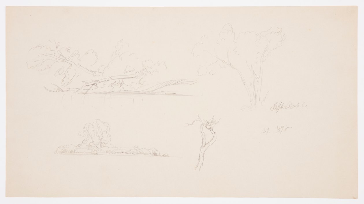 Disegno, Alberi, una riva con cespugli e alberi, settembre 1876 da Frederic Edwin Church