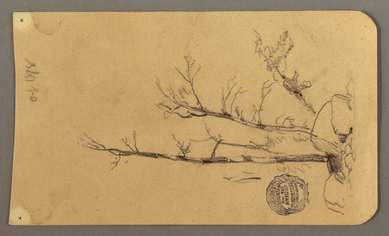 Disegno, Alberi, massi, 1878 da Frederic Edwin Church