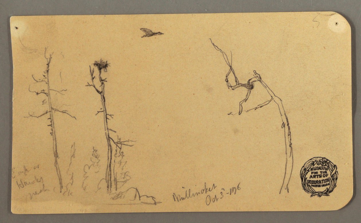 Disegno, Alberi, uccello in volo, 1877 da Frederic Edwin Church