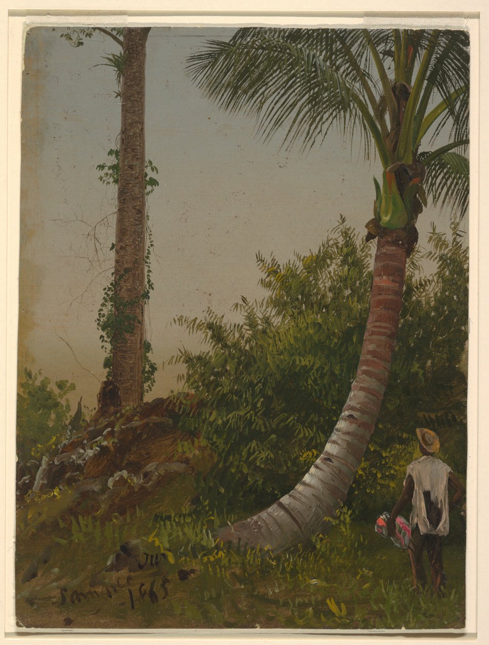 Disegno, Alberi in Giamaica, Indie Occidentali, 1865 da Frederic Edwin Church