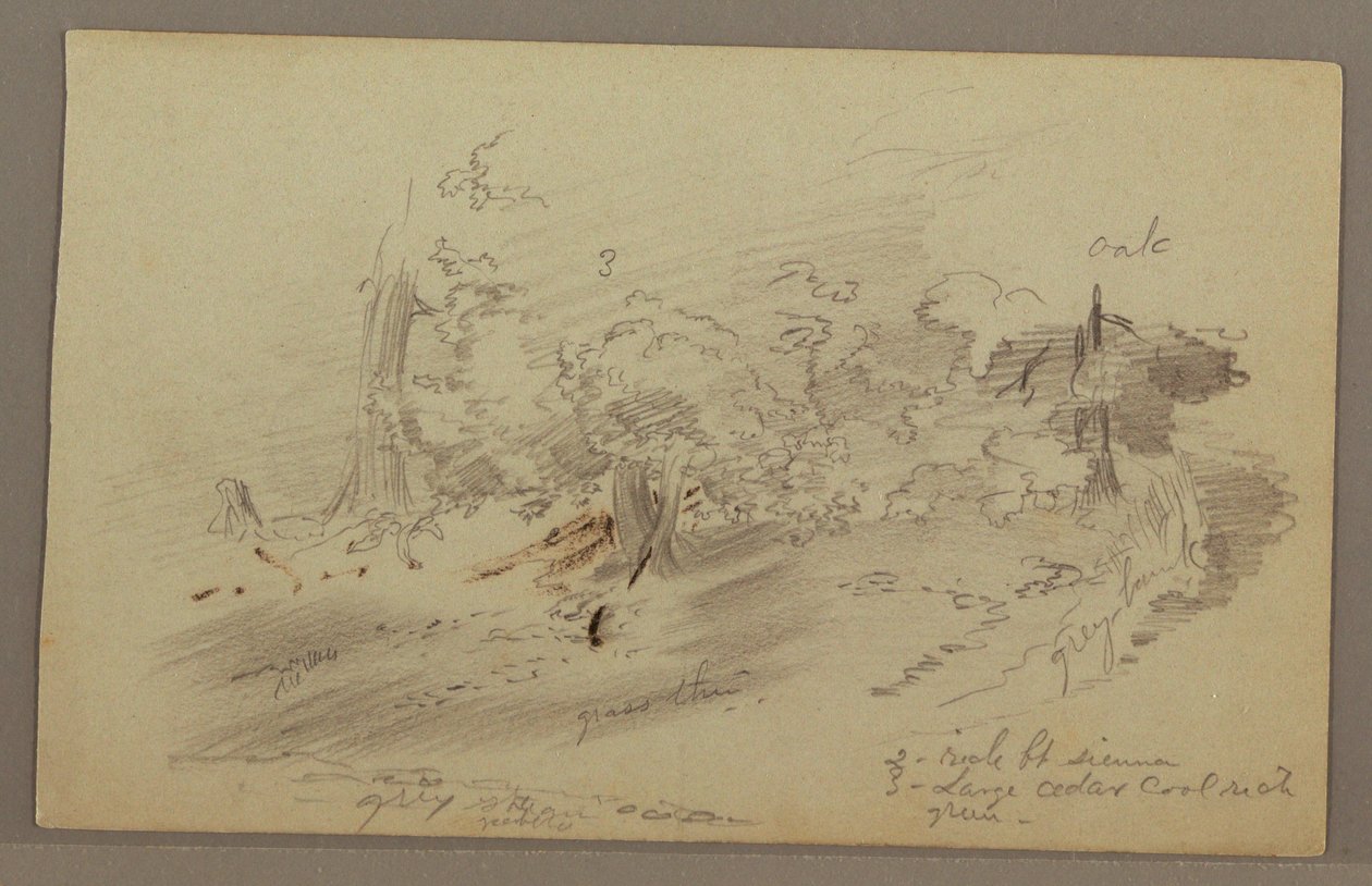 Disegno, Alberi, forse 1860 da Frederic Edwin Church