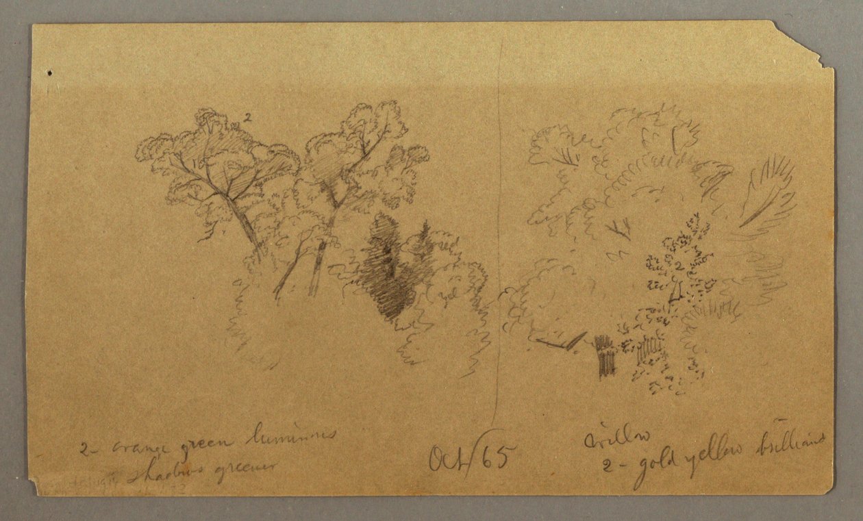 Disegno, Due studi di alberi, ottobre 1865 da Frederic Edwin Church
