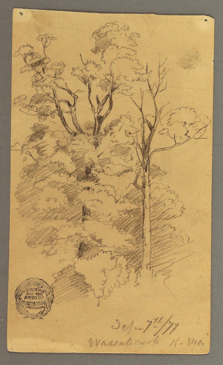 Disegno, Due alberi, 1877 da Frederic Edwin Church