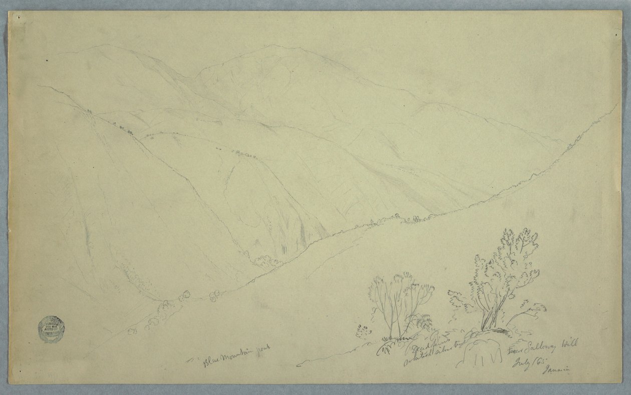 Disegno, veduta del picco di Blue Mountain, visto da vicino a Salloway Hill, Giamaica, luglio 1865 da Frederic Edwin Church