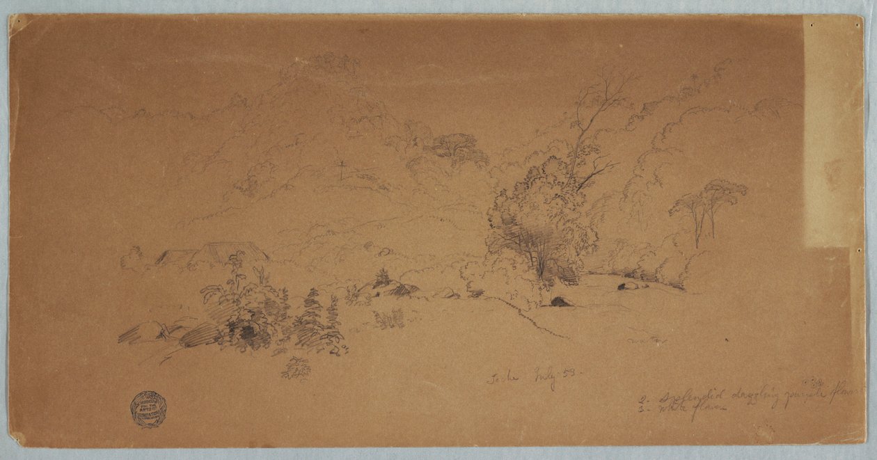 Disegno, Veduta di Toche, Colombia, luglio 1853 da Frederic Edwin Church