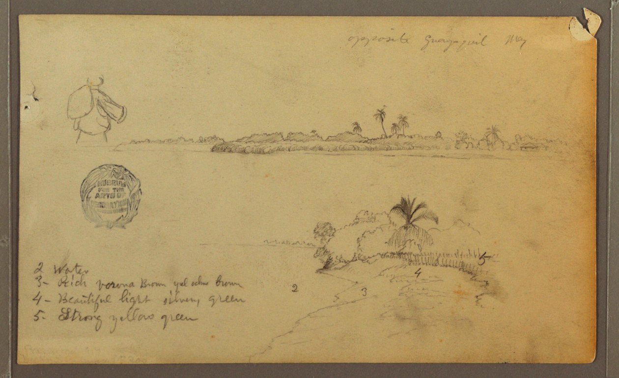 Disegno, Veduta della riva orientale del fiume Guayas, di fronte a Guayaquil, Ecuador, maggio 1857 da Frederic Edwin Church