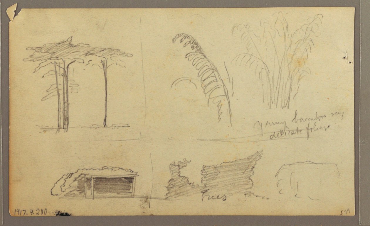 Disegno, Veduta della riva orientale del fiume Guayas, di fronte a Guayaquil, Ecuador, maggio 1857 da Frederic Edwin Church