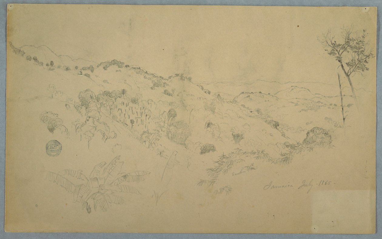 Disegno, valle boscosa con una grande felce e distanti catene montuose, Giamaica, luglio 1865 da Frederic Edwin Church