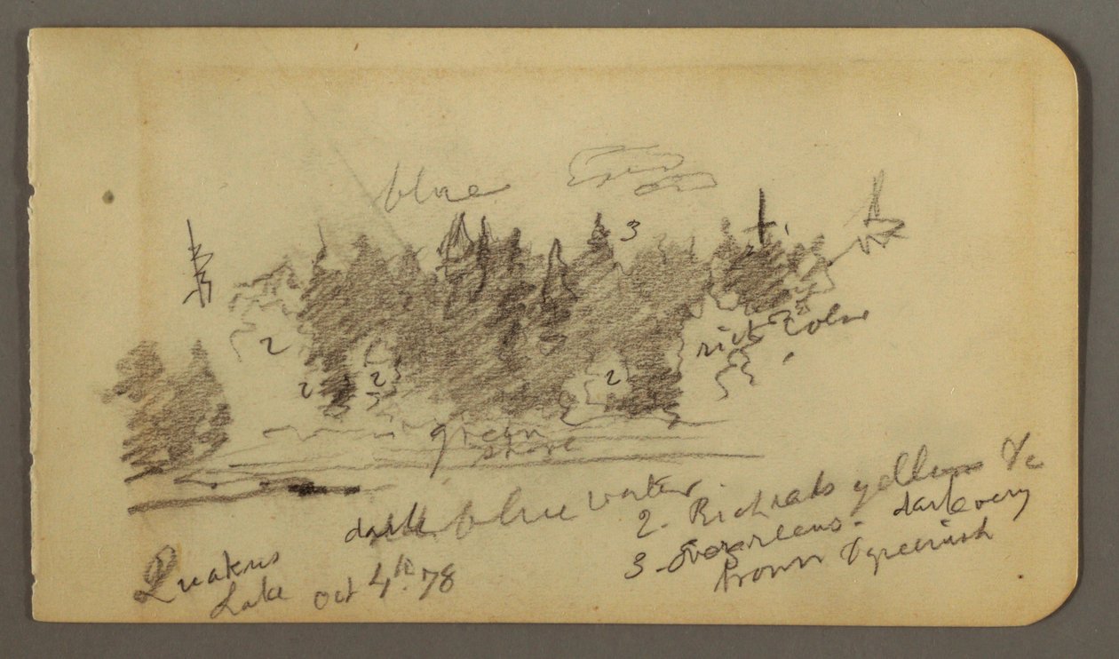 Disegno, Riva boscosa, 1878 da Frederic Edwin Church