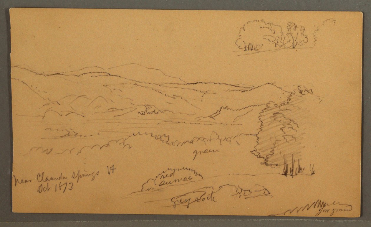 Disegno, Valle boscosa, ottobre 1873 da Frederic Edwin Church