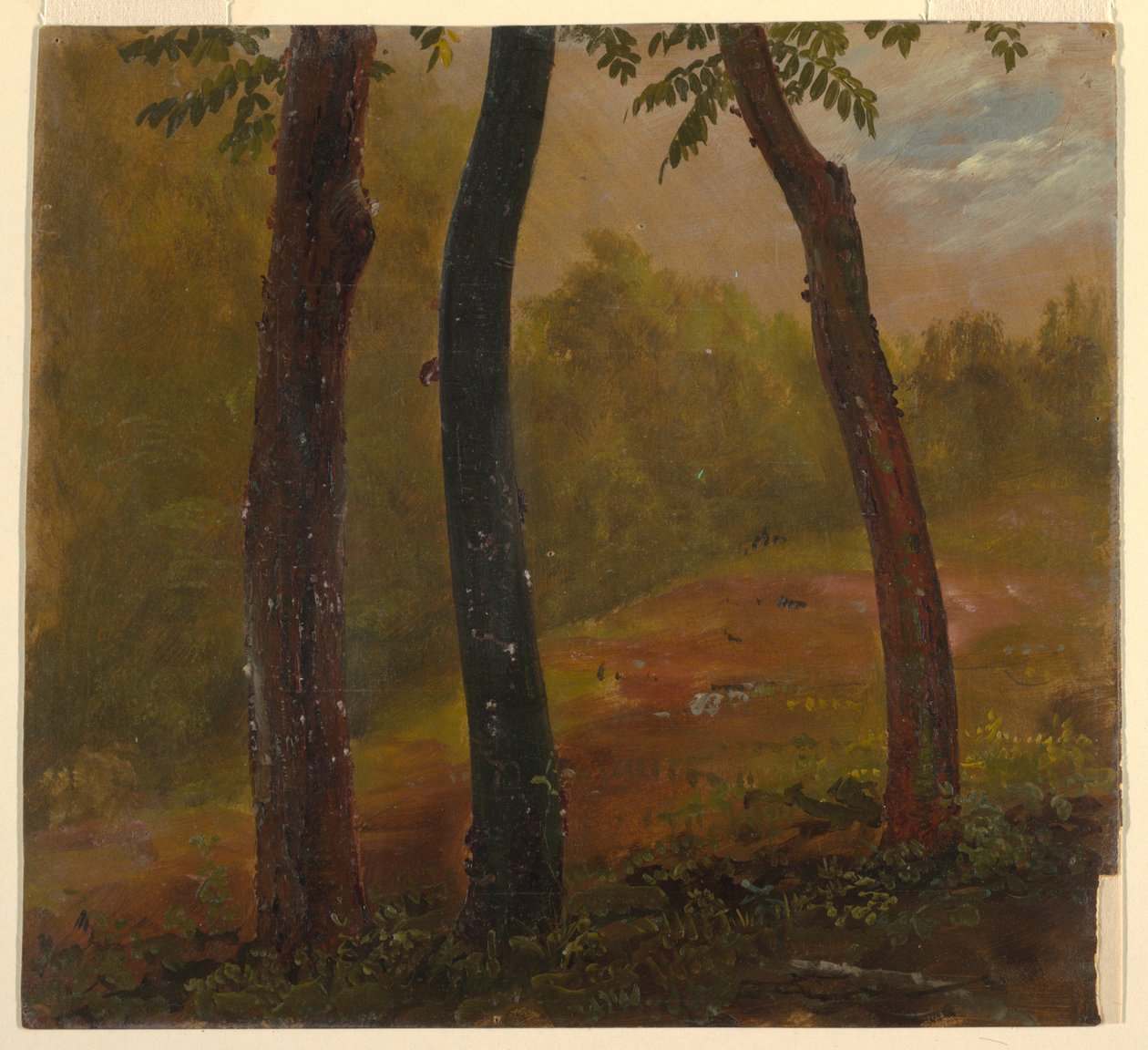Disegno, scena di bosco, Giamaica, 1865 da Frederic Edwin Church