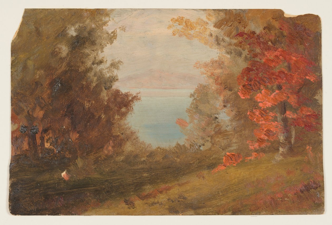 Disegno, Scena di bosco in autunno (Hudson, New York o Maine), 1860-70 da Frederic Edwin Church
