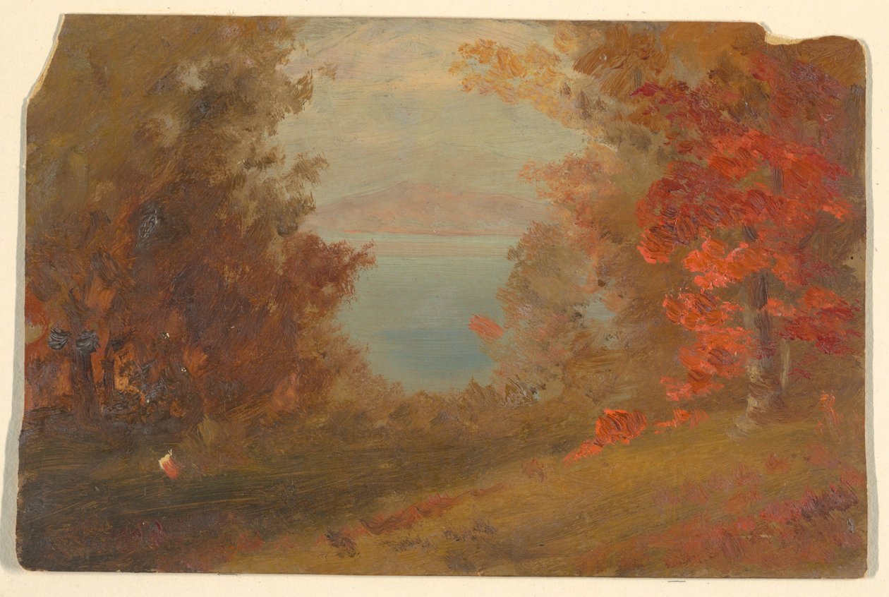 Disegno, Scena di bosco in autunno (Hudson, New York o Maine), 1860-70 da Frederic Edwin Church