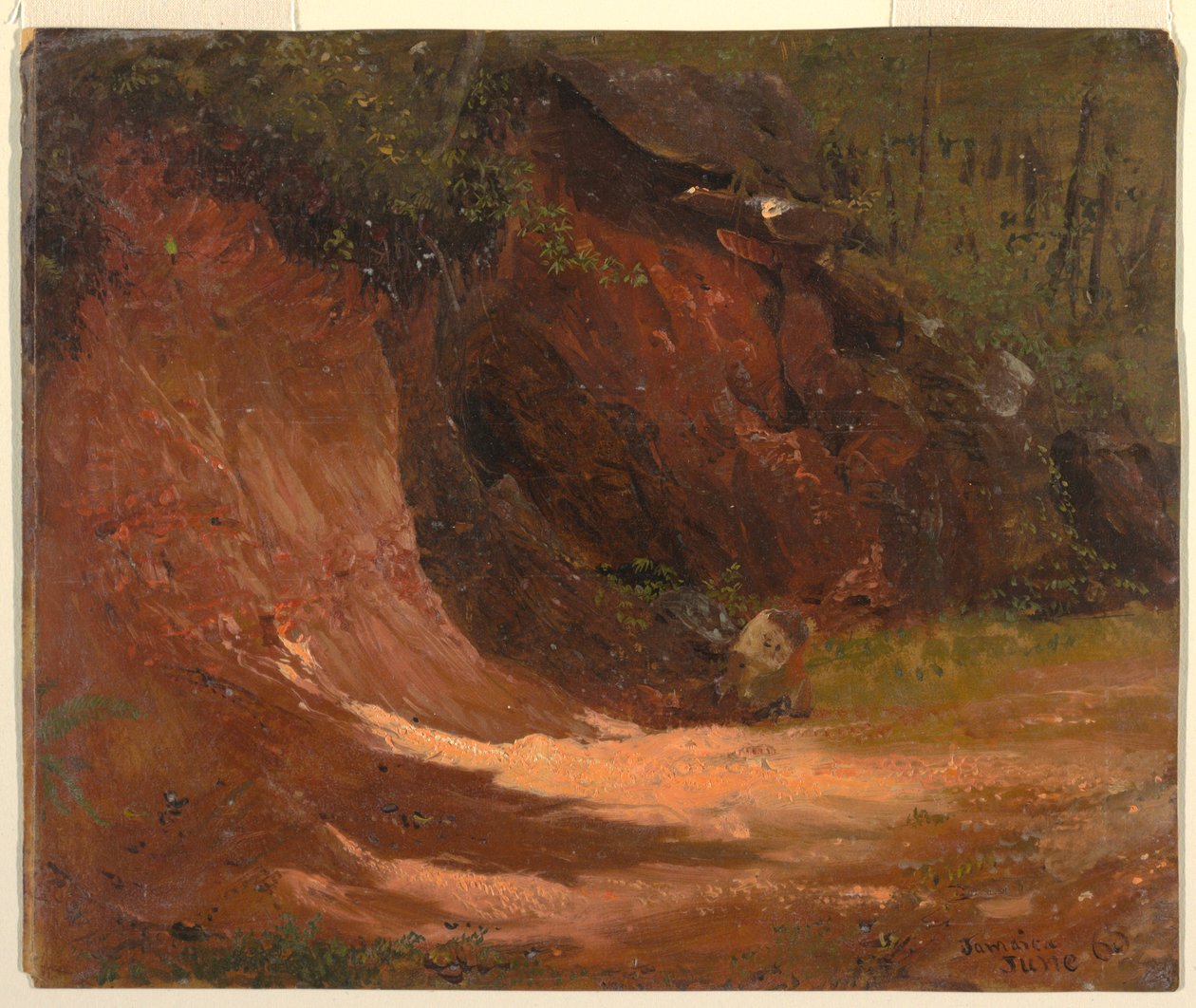 Disegno, Woodland Bank, Giamaica, giugno 1865 da Frederic Edwin Church