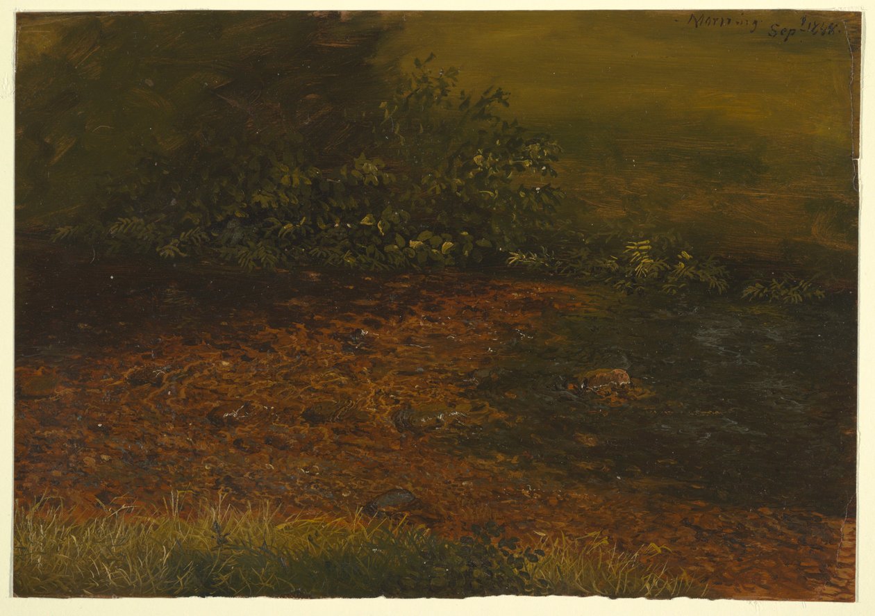 Disegno, ruscello di bosco nelle Catskills, settembre 1848 da Frederic Edwin Church