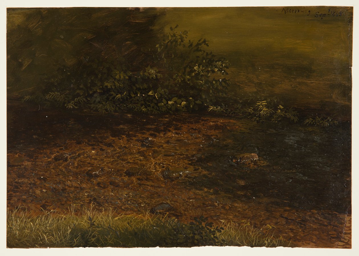 Disegno, ruscello di bosco nelle Catskills, settembre 1848 da Frederic Edwin Church