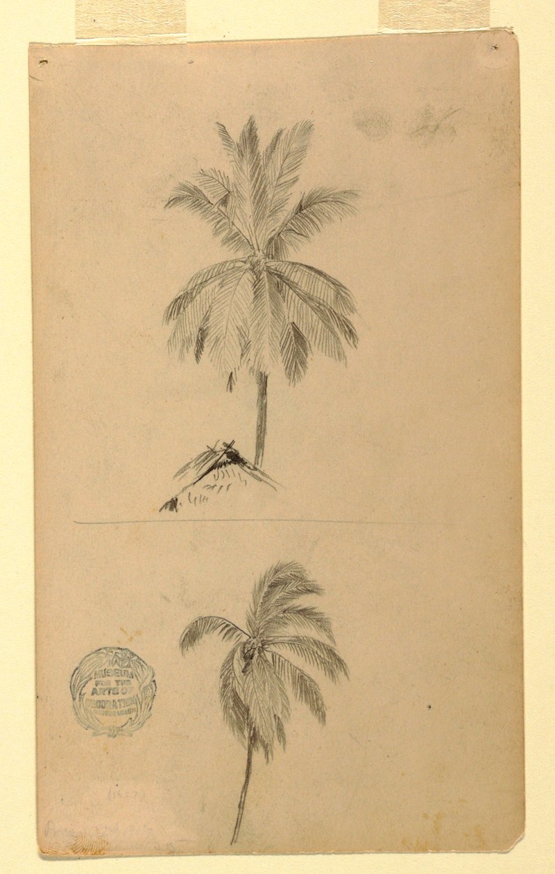 Disegni. Due schizzi. Palme. da Frederic Edwin Church