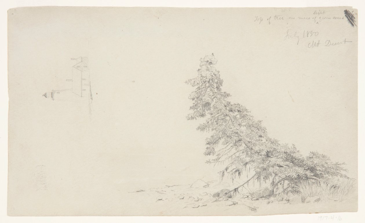 Albero sempreverde vicino alla riva con un dettaglio del faro e una casa, Mount Desert, Maine da Frederic Edwin Church