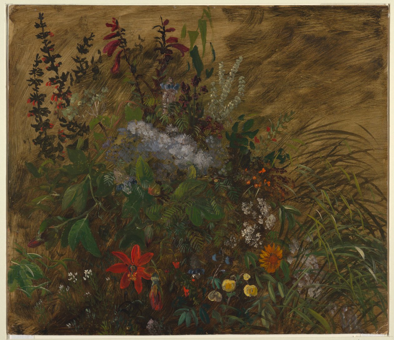 Fiori in Giamaica da Frederic Edwin Church