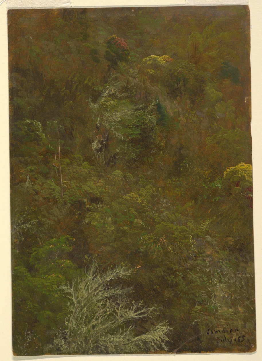 Collina con alberi, Giamaica da Frederic Edwin Church