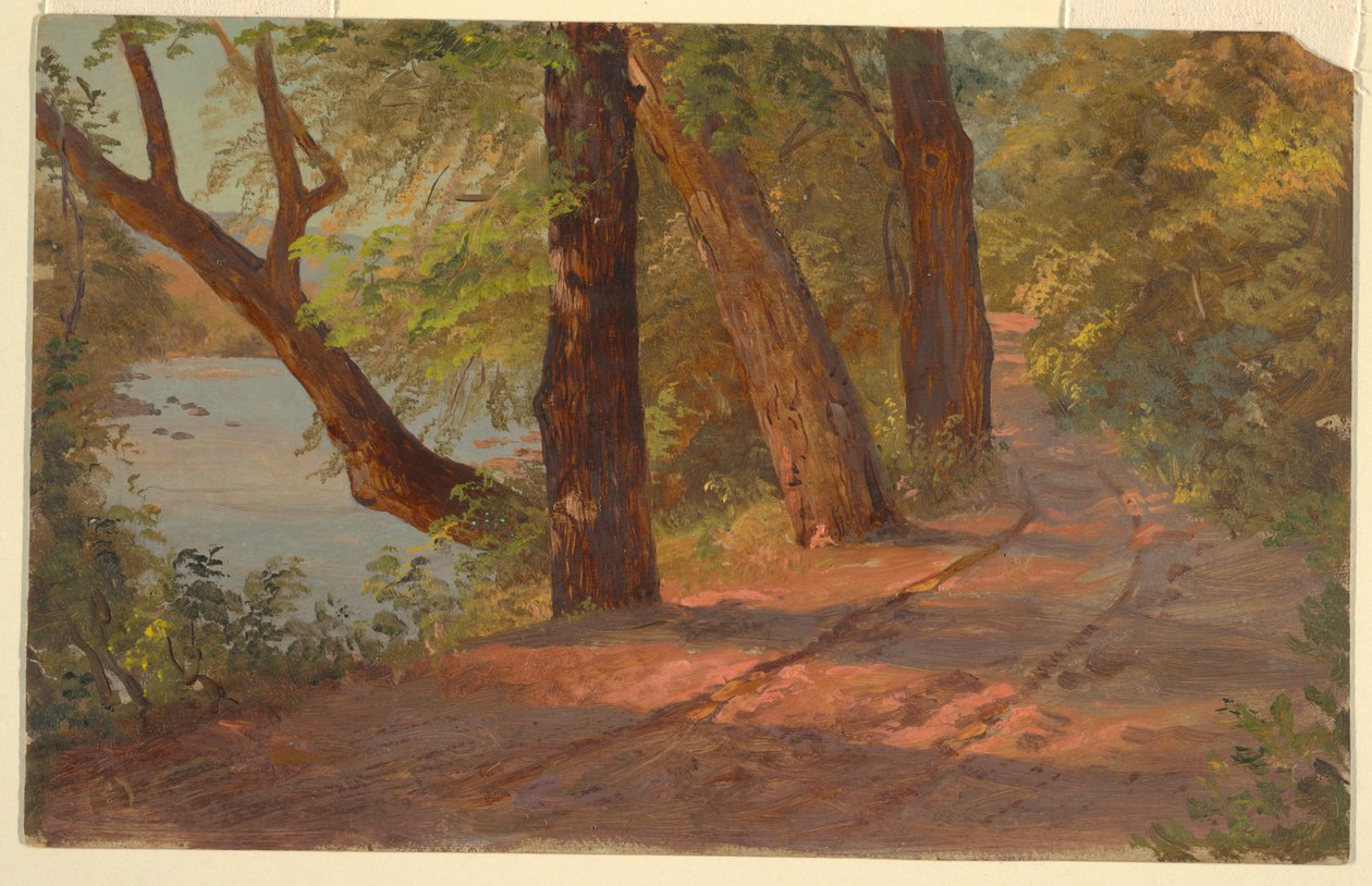 Paesaggio del Nord America (Strada vicino a un Lago) da Frederic Edwin Church