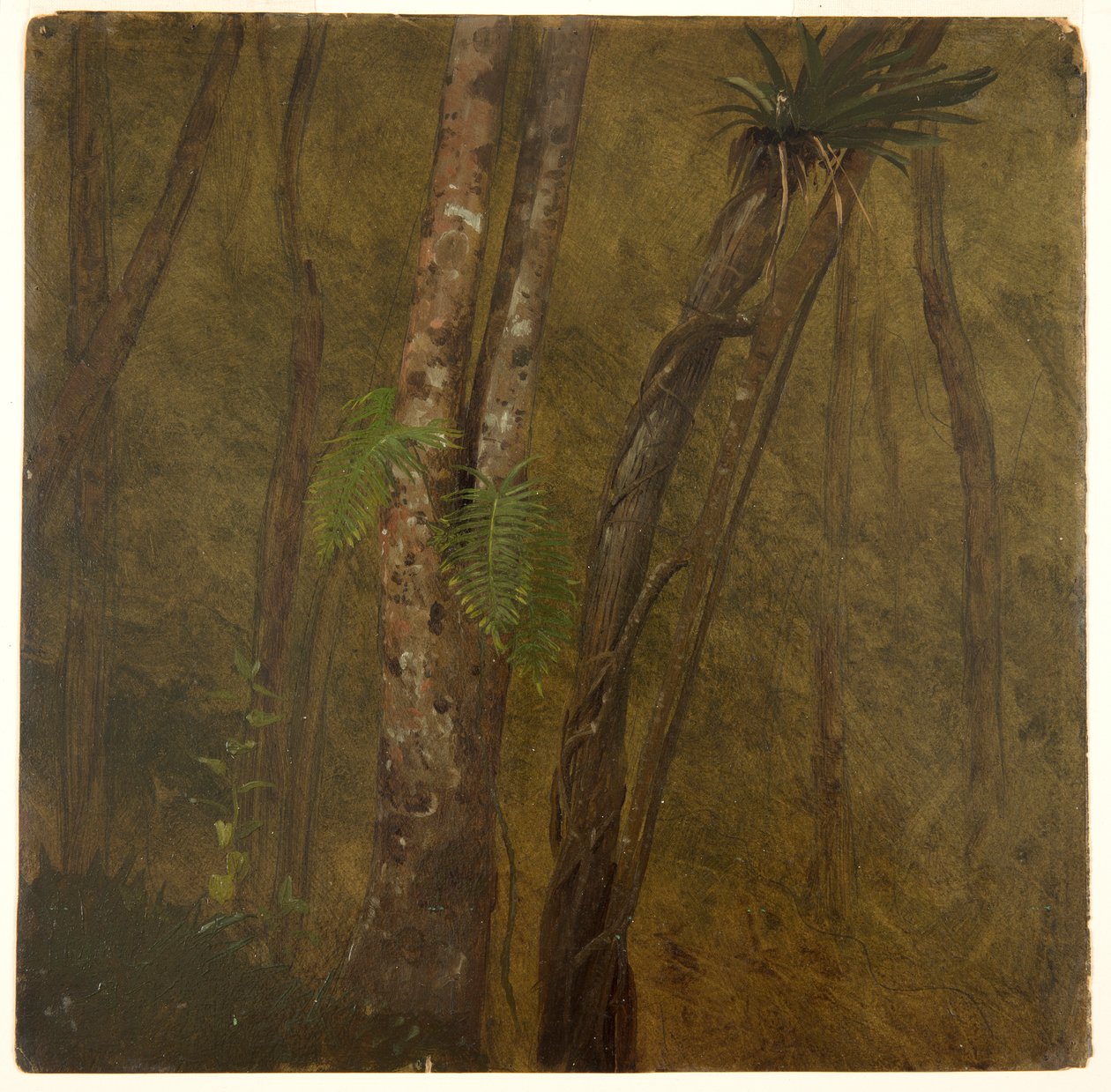 Paesaggio in Giamaica da Frederic Edwin Church