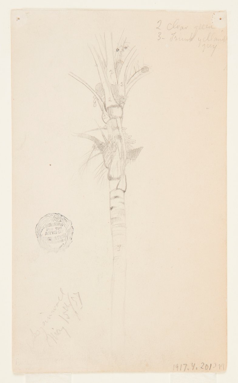 Foglie e Stelo di una Palma, Aspinwall, Panama da Frederic Edwin Church