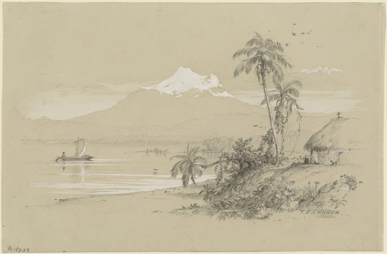 Fiume Magdalena, Nuova Granada, Ecuador da Frederic Edwin Church