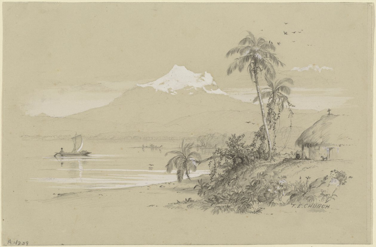 Fiume Magdalena, Nuova Granada, Ecuador da Frederic Edwin Church