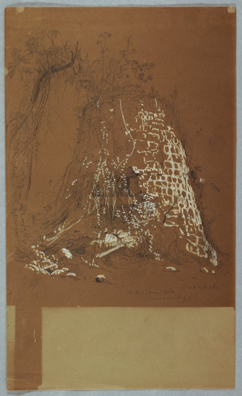 Vecchio mulino a vento, Giamaica da Frederic Edwin Church
