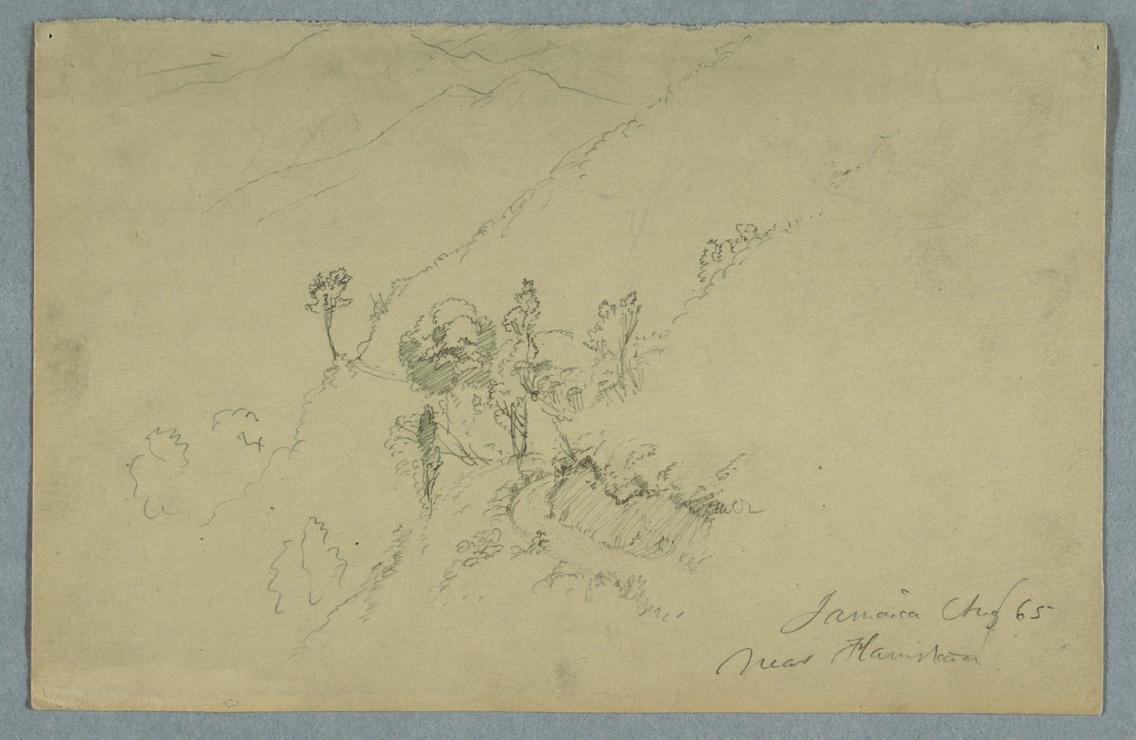 Strada attraverso le Blue Mountains, vicino a Homestead, Giamaica da Frederic Edwin Church