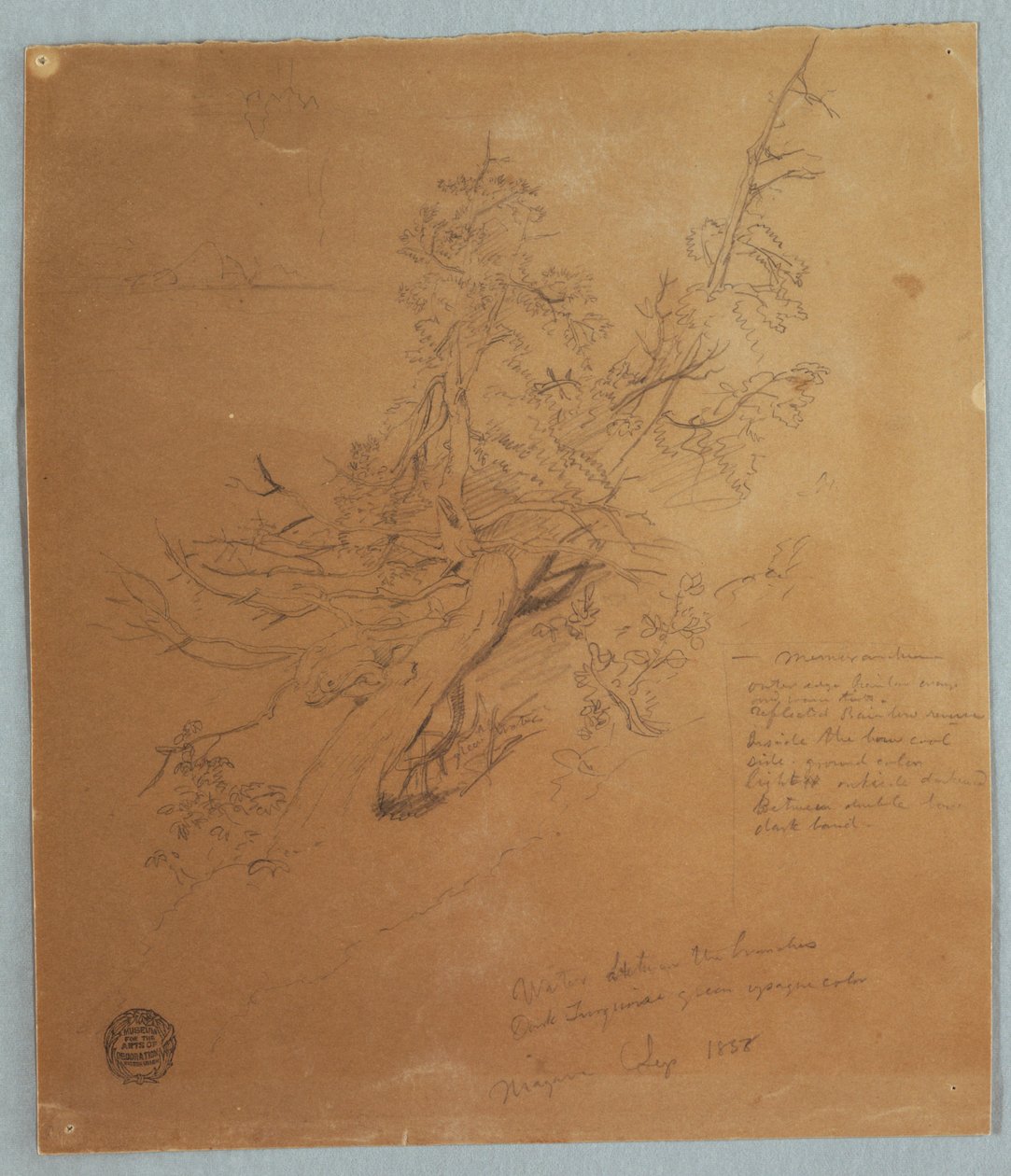 Albero Rugoso alla Banca Canadese sotto le Cascate del Niagara da Frederic Edwin Church