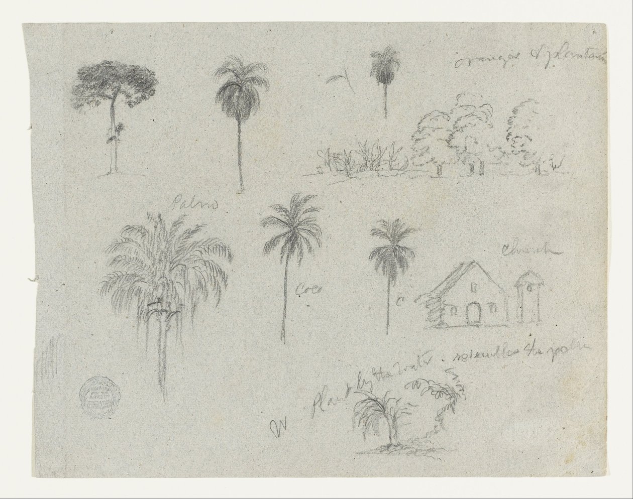 Schizzi dal Rio Magdalena, Colombia.  Schizzi botanici. Una chiesa.  Simile a -103. da Frederic Edwin Church