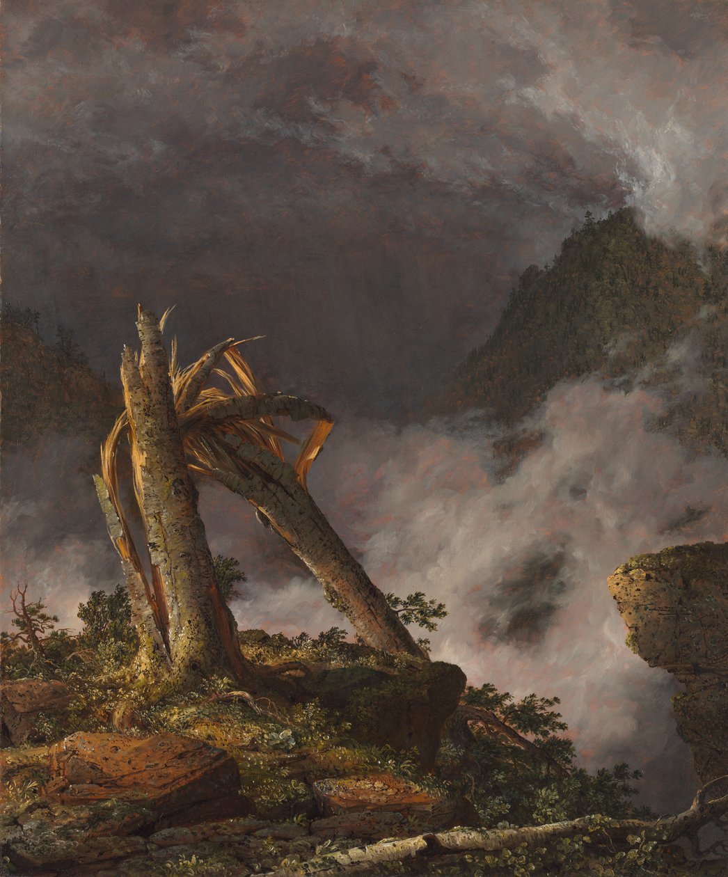 Tempesta nelle montagne da Frederic Edwin Church