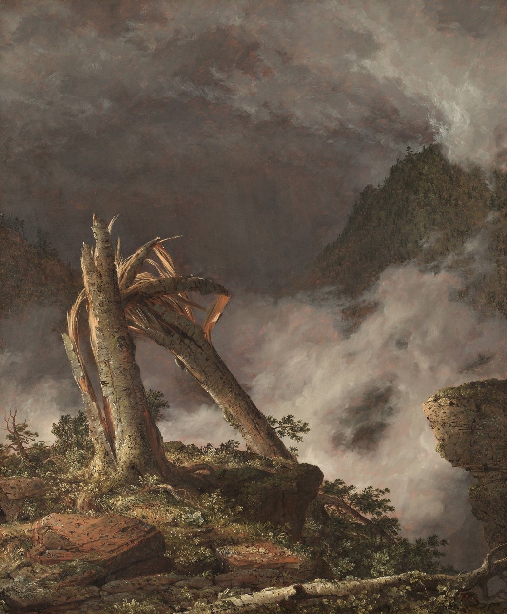 Tempesta in montagna da Frederic Edwin Church