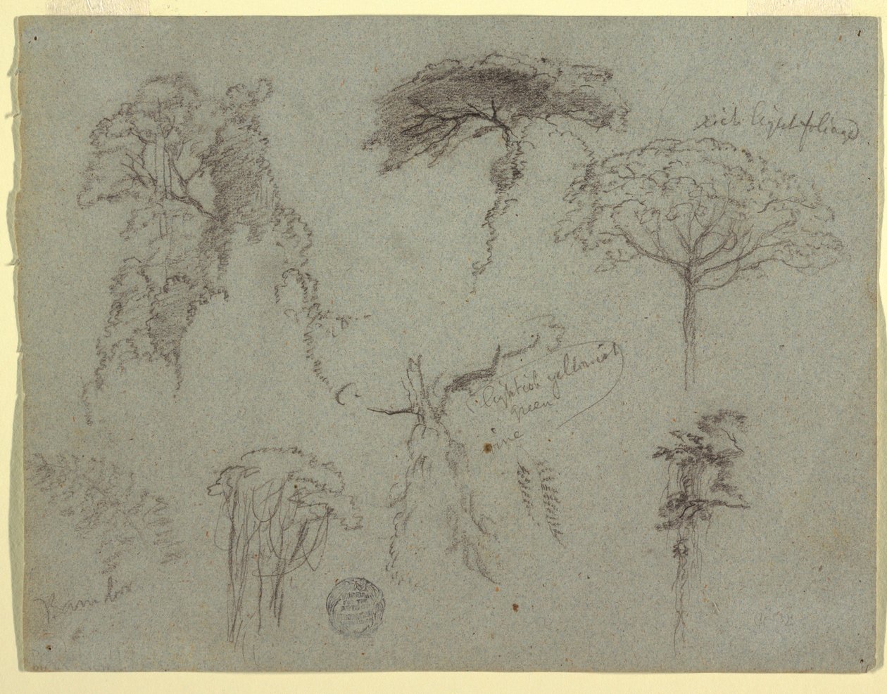 Studi di alberi, Ecuador da Frederic Edwin Church