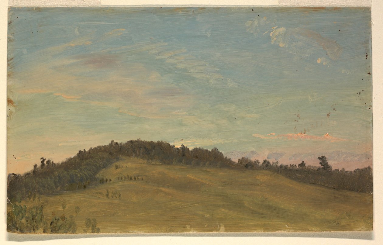 Paesaggio estivo da Frederic Edwin Church