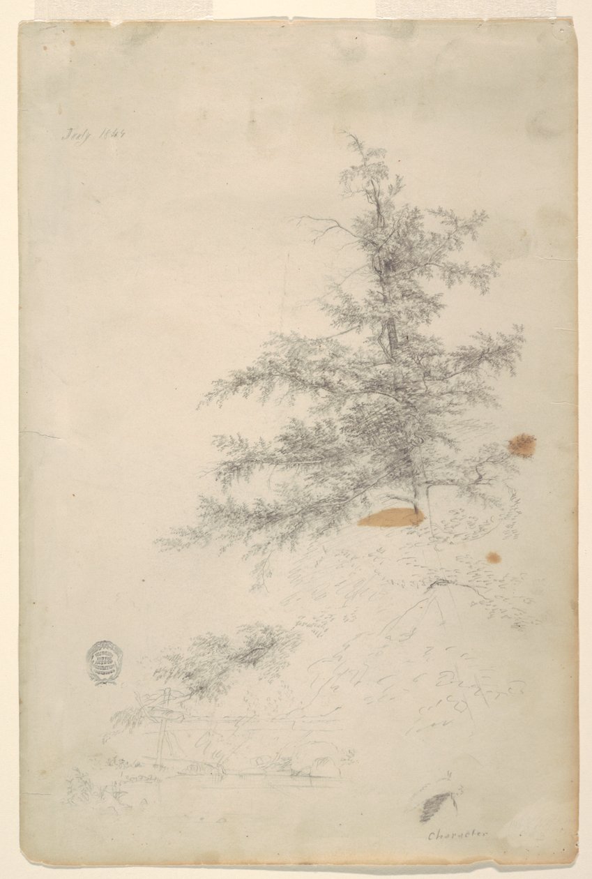 Albero, ruscello da Frederic Edwin Church