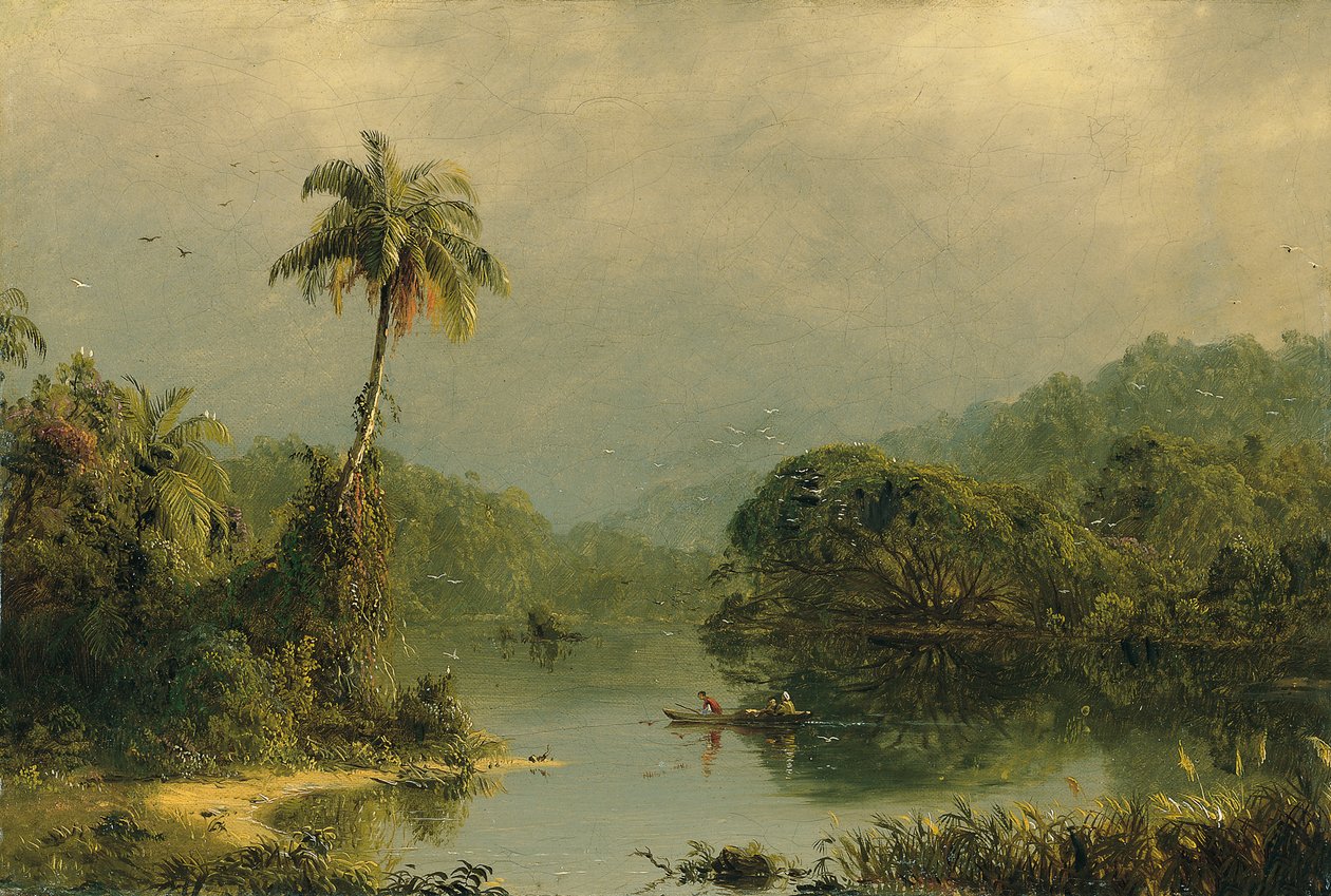 Paesaggio tropicale da Frederic Edwin Church