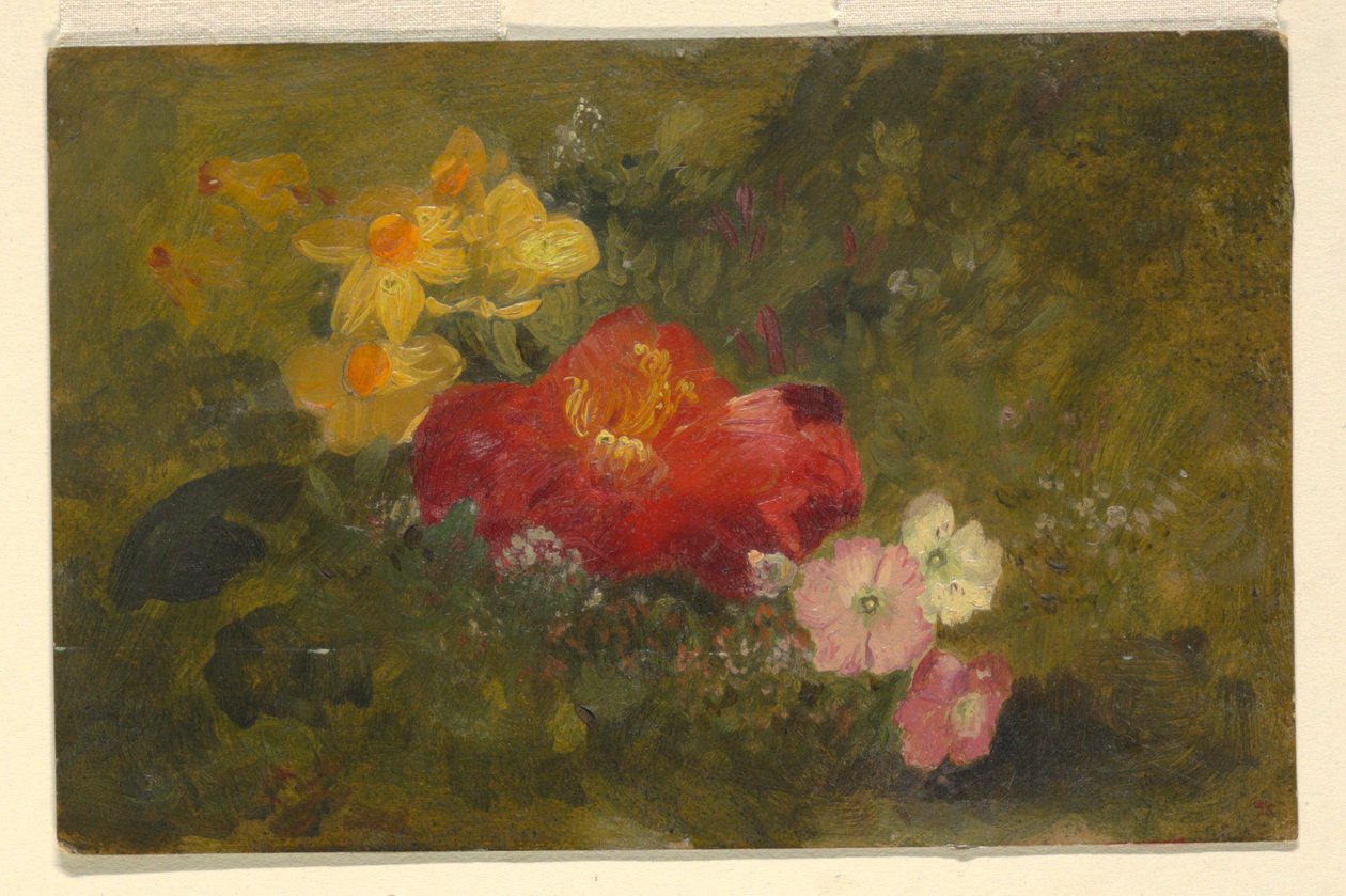Fiori selvatici, Giamaica da Frederic Edwin Church