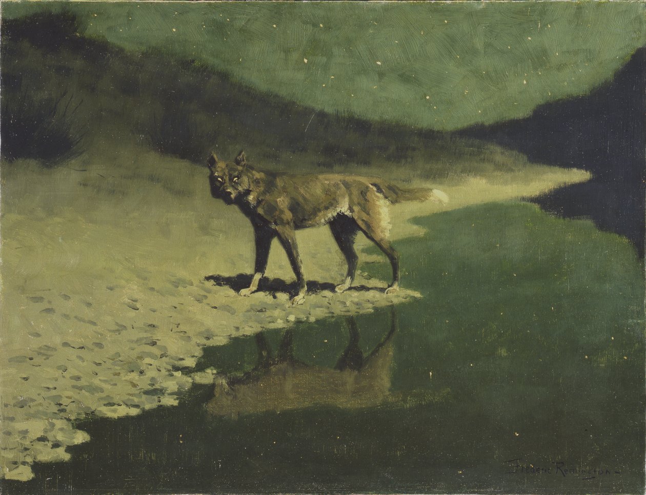 Luce della luna, lupo, c.1904 da Frederic Remington